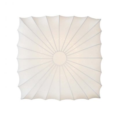 Потолочный светильник Donolux C111011/2S