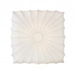 Потолочный светильник Donolux C111011/2S