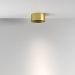 Потолочный светильник Technical C122CL-L7-4K-BS