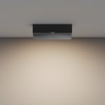 Потолочный светильник Maytoni C133CL-12W3K-B Basis Rot