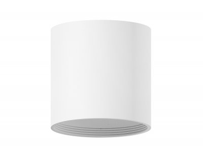 Сборный светильник Ambrella C6301