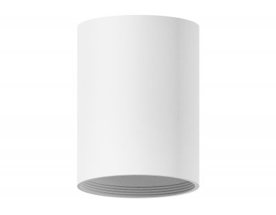 Сборный светильник Ambrella C6312