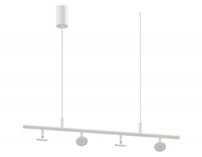 Корпус светильника подвесной поворотный для насадок D60 Ambrella C9001 C