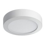 Накладной потолочный светодиодный светильник Kanlux CARSA V2LED 12W-NW-W (28948)