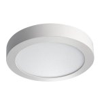 Накладной потолочный светодиодный светильник Kanlux CARSA V2LED 18W-NW-W (28949)