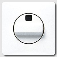 JUNG CD 500/CD plus Бел Накладка поворотная для жалюзи (CD541WW) JUNG CD 500/CD plus Бел Накладка поворотная для жалюзи (CD541WW)