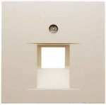 JUNG CD 500/CD plus Светло-серый Накладка 1-ой наклонной ТЛФ/комп розетки (CD569-1UALG)