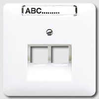 JUNG CD 500/CD plus Платина Накладка 2-ой наклонной ТЛФ/комп розетки с полем для надписи (CD569-2NAUAPT) JUNG CD 500/CD plus Платина Накладка 2-ой наклонной ТЛФ/комп розетки с полем для надписи (CD569-2NAUAPT)