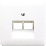 JUNG CD 500/CD plus Платина Накладка 2-ой наклонной ТЛФ/комп розетки (CD569-2UAPT)