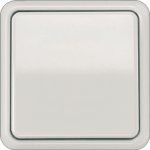 JUNG CD 500 Светло-серый Рамка 1-я (CD581LG)