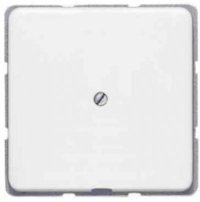 JUNG CD 500/CD plus Бел Вывод кабеля (CD590AWW) JUNG CD 500/CD plus Бел Вывод кабеля (CD590AWW)