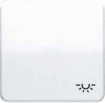 JUNG CD 500/CD plus Платина Клавиша 1-я с символом ОСВЕЩЕНИЕ (CD590LPT)