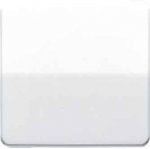 JUNG CD 500/CD plus Черный Клавиша 1-я (CD590SW)