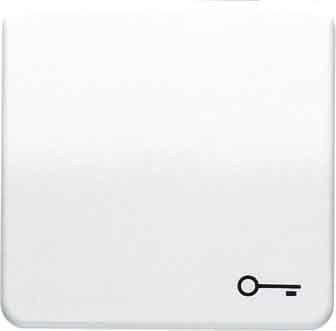 JUNG CD 500/CD plus Бронза Клавиша 1-я с символом КЛЮЧ (CD590TGB) JUNG CD 500/CD plus Бронза Клавиша 1-я с символом КЛЮЧ (CD590TGB)