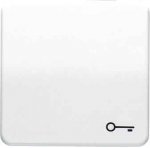 JUNG CD 500/CD plus Бронза Клавиша 1-я с символом КЛЮЧ (CD590TGB)