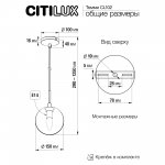 Светильник подвесной Citilux CL102013