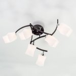 Люстра Citilux CL126161 Берта