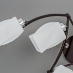 Люстра Citilux CL126161 Берта