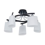 Люстра Citilux CL136151 Тайфун