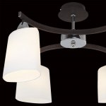 Люстра Citilux CL138141 Астра