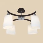 Люстра Citilux CL138141 Астра