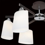 Люстра Citilux CL138161 Астра