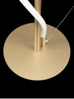 Торшер Citilux CL210912 EVA