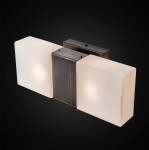 Светильник настенный бра Citilux CL212325 Сага