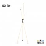 Торшер Citilux CL217961 LUCIA