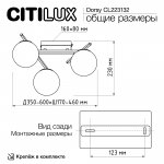 Люстра потолочная Citilux CL223132 DORSY