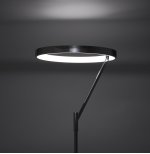 Торшер Citilux CL226921 Джек