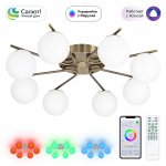 Люстра потолочная Citilux CL228A183 Адам Смарт