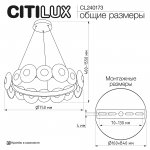 Citilux CL240173