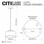 Citilux CL243011