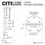 Citilux CL243051