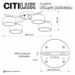 Citilux CL243141