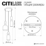 Citilux CL244031