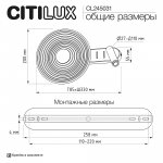 Citilux CL245031