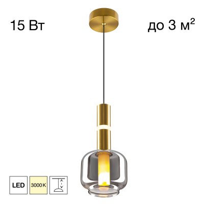 Подвесной светильник Citilux CL249011 LASS