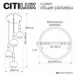 Citilux LASS CL249021 LED Подвесной светильник