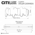 Citilux CL250312