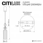 Citilux CL254010