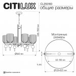 Citilux CL255163