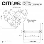 Citilux CL305330