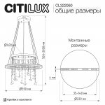 Citilux CL322060