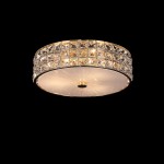 Светильник настенно-потолочный Citilux CL324132 Портал