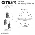 Citilux CL326013