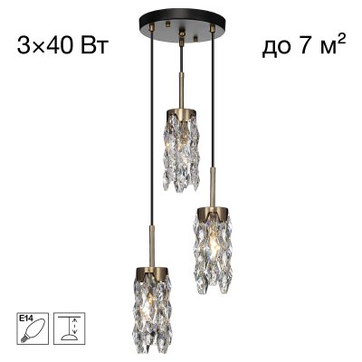 Citilux CL326013 Citilux CL326013