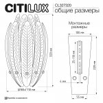 Citilux CL327320