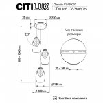 Подвесной светильник Citilux CL420033 Garuda